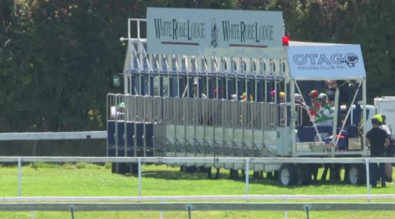 View video › View video ›