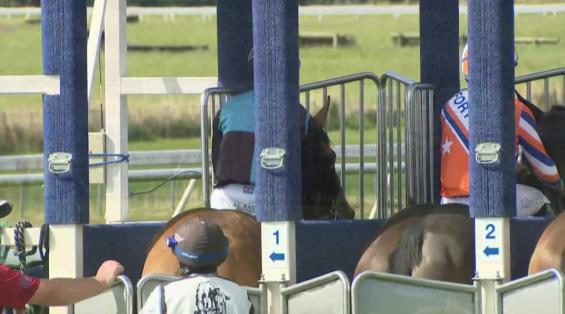 View video › View video ›