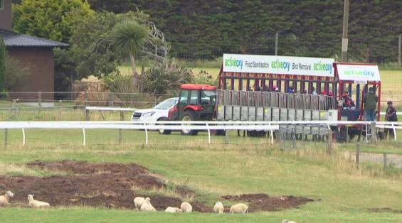 View video › View video ›