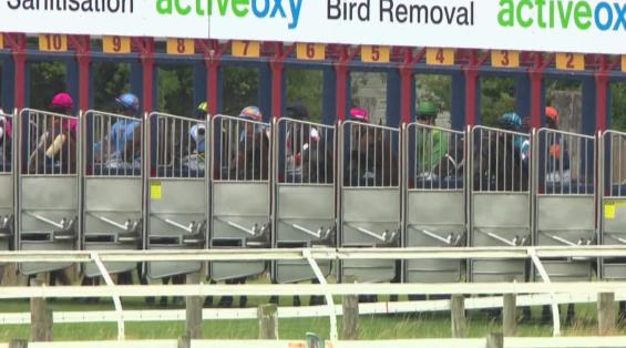 View video › View video ›