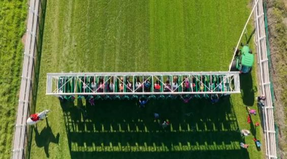 View video › View video ›