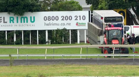 View video › View video ›