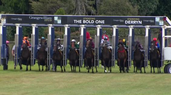 View video › View video ›