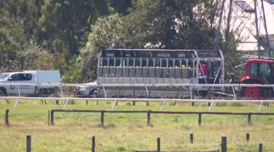 View video › View video ›