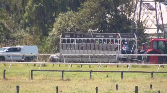 View video › View video ›