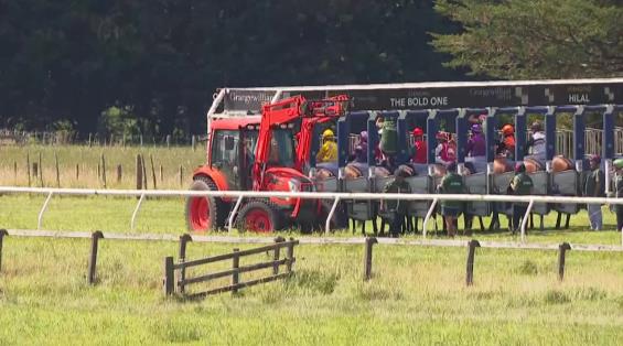 View video › View video ›