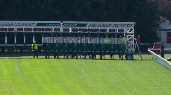 View video › View video ›