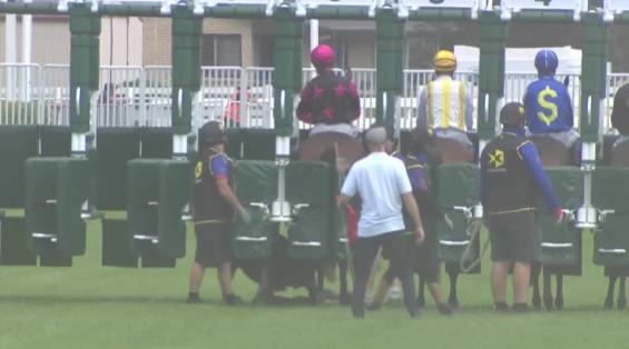 View video › View video ›