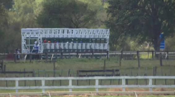 View video › View video ›