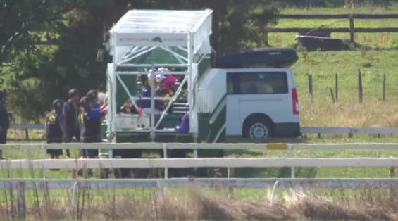 View video › View video ›