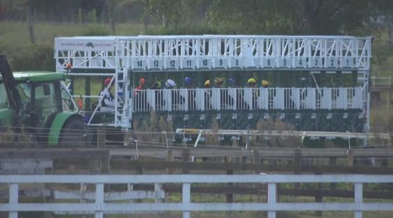 View video › View video ›