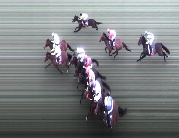 Photo finish