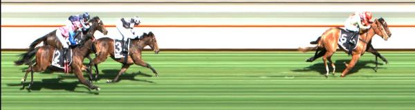 Photo finish