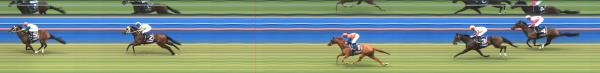 Photo finish