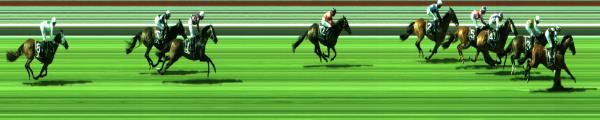 Photo finish