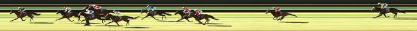 Photo finish