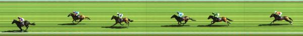 Photo finish