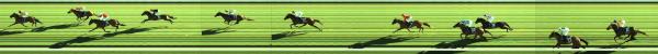 Photo finish