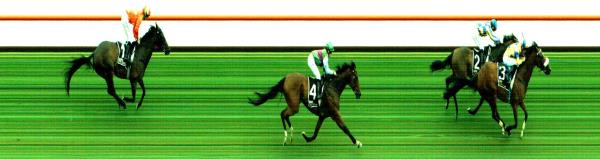 Photo finish