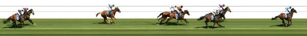 Photo finish