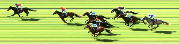 Photo finish