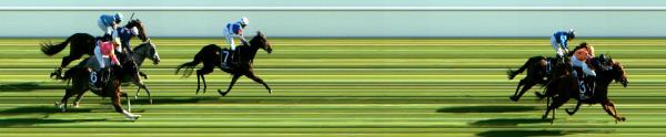 Photo finish