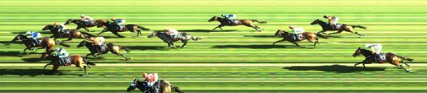 Photo finish