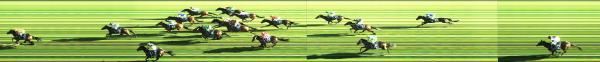 Photo finish
