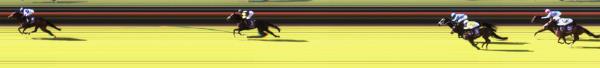 Photo finish