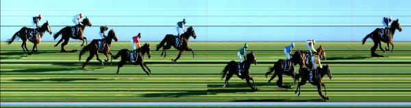 Photo finish
