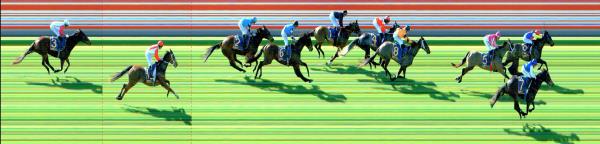 Photo finish