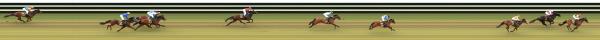 Photo finish