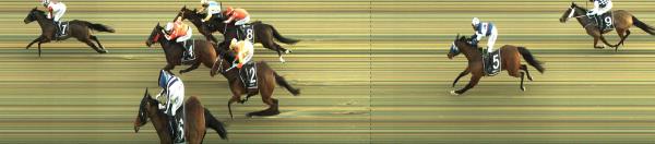 Photo finish