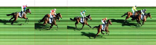 Photo finish