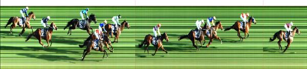 Photo finish