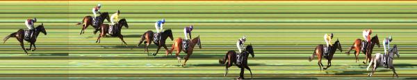 Photo finish