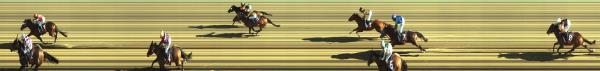 Photo finish