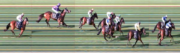 Photo finish