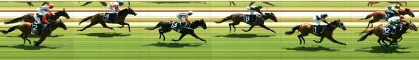 Photo finish
