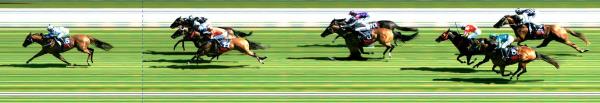 Photo finish