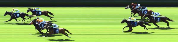 Photo finish