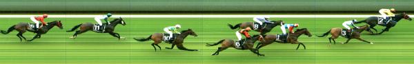 Photo finish