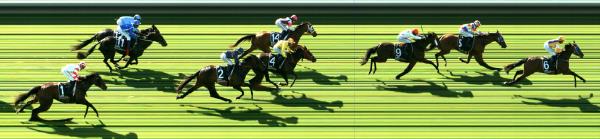 Photo finish