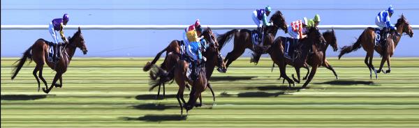 Photo finish