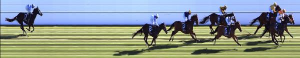 Photo finish
