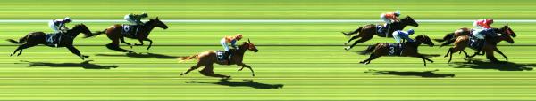 Photo finish