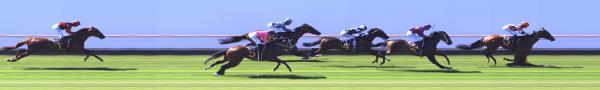 Photo finish