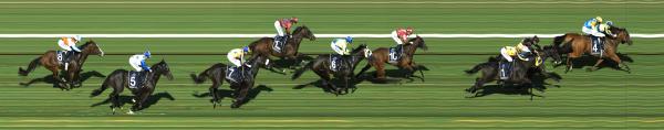 Photo finish