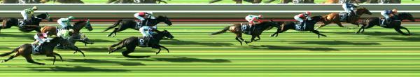Photo finish