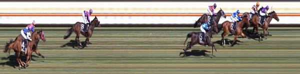 Photo finish
